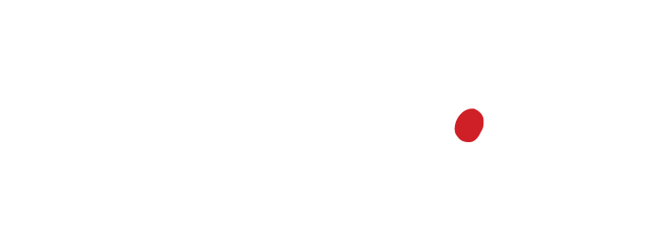logo-icaro21